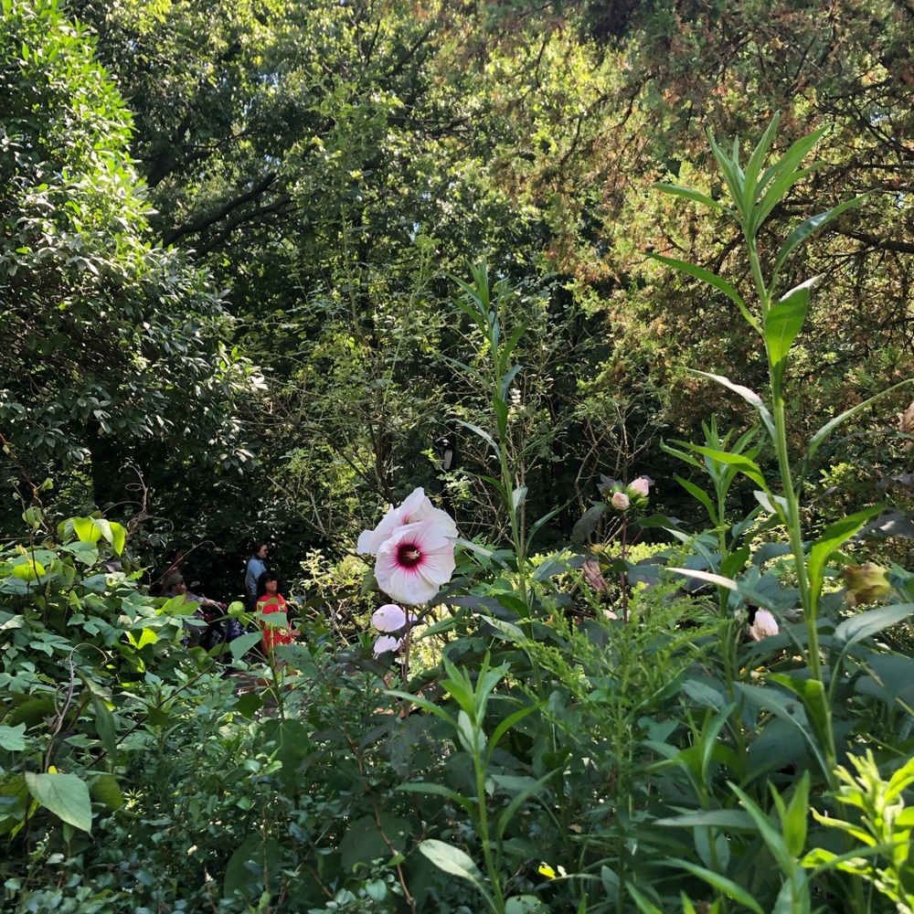 Meet your Posher, Cheeri